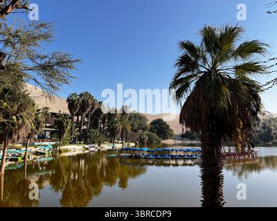 Laguna di Huacachina, palme e dune di sabbia sullo sfondo, tutti riflessi nel lago, un'oasi nel deserto di Atacama, Ica, Perù, Sud America. Foto Stock