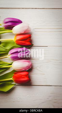 La fila di sei fiori di tulipani appare con un design piatto su sfondo bianco, spazio di copia Foto Stock