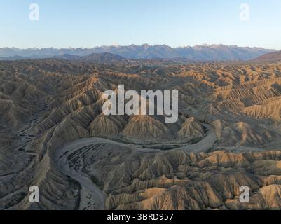 Veduta aerea di un fiume serpentino che si intaglia attraverso i calanchi ondulati e baciati dal sole, mentre le lontane vette innevate si innalzano contro il cielo limpido, Kirpichny, regione di Issyk-Kul, Kirghizistan. Foto Stock