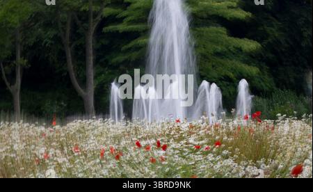 Una fresca fontana bianca che sorge da un campo di fiori bianchi in un parco di campagna. Foto Stock