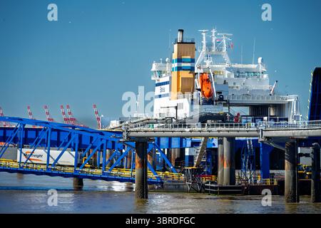 RO RO traghetto per la Bore Song al terminal Twelve Quays di Birkenhead. Foto Stock