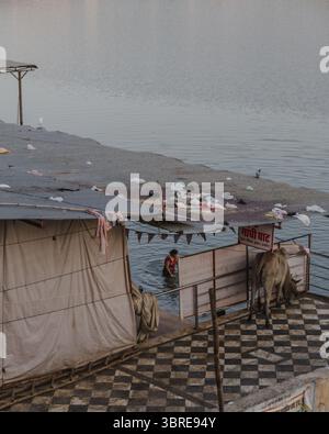 Pushkar, India - 24 giugno 2025: Vista del tranquillo lago Pushkar, dove una persona si bagna nelle acque sacre, incorniciata dai tetti testurizzati e dai ghat da bagno. Foto Stock