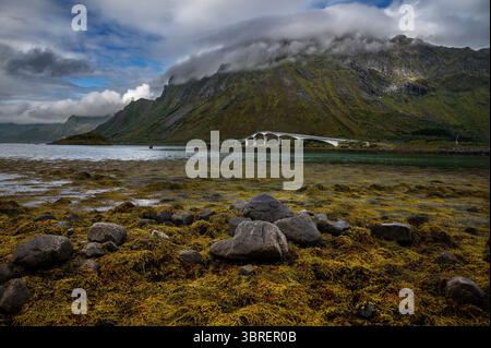 Ponti di Fredvang nelle isole Lofoten, Norvegia settentrionale Foto Stock