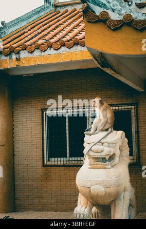 Scimmia seduta pensiamente sulla testa di una statua di leone guardiano cinese d'epoca di fronte a un tempio cinese tradizionale. Fotografia culturale verticale. Foto Stock