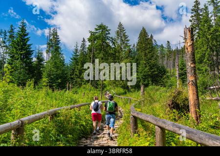 Persone che camminano lungo il sentiero per Morskie Oko nel Parco Nazionale Tatra nel sud della Polonia Foto Stock