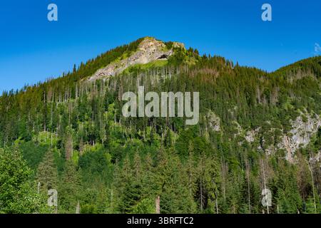Vista del Parco Nazionale Tatra nel sud della Polonia Foto Stock
