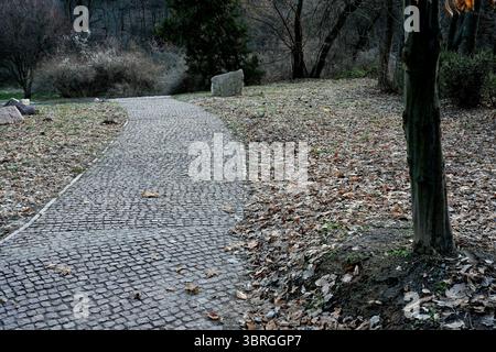 Un sentiero rustico si snoda attraverso un paesaggio sereno pieno di foglie cadute. Foto Stock