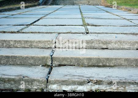 Gradini di pietra irregolari e incrinati guidano i visitatori verso uno spazio verde sereno. Foto Stock