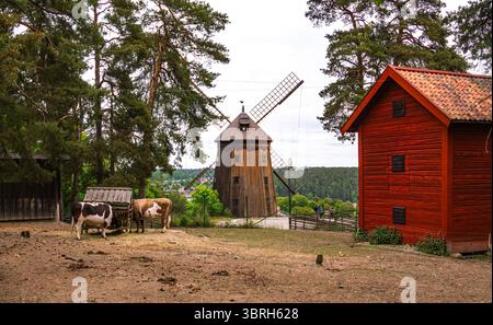 Sodertalje, Svezia - 6 giugno 2025: Un paesaggio rurale panoramico con un tradizionale mulino a vento, un fienile di legno rosso e mucche da pascolo. L'impostazione è surr Foto Stock