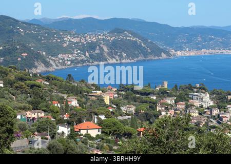 Camogli, Italia - 11 luglio 2025. Yacht, barche nella baia della Liguria. Mare e turismo in Italia. Edifici tradizionali. Sfondo per la progettazione. Foto Stock