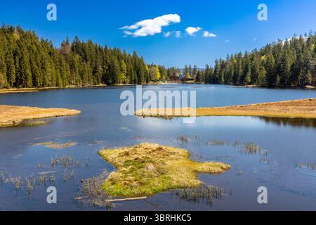 Lago grande Arbersee vicino a Bodenmais, foresta bavarese, Germania Foto Stock