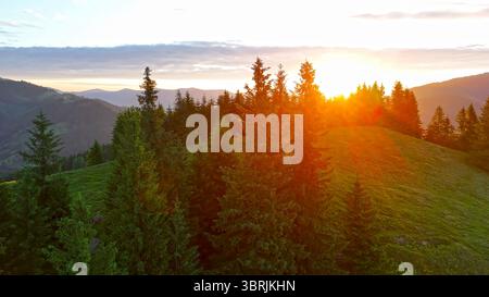 Tramonto sulla pineta nel paesaggio montano. Il sole dorato tramonta dietro colline ricoperte di pini, che emana una luce calda su un pendio verde di montagna con una Foto Stock