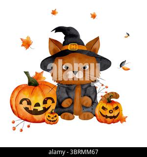 Illustrazione ad acquerello di gatto cartoni animati allo zenzero in costume da strega, circondato da diverse zucche emotive con fogliame su sfondo bianco. Grazioso design di Halloween per poster, stampe, biglietti, bambini. Foto Stock