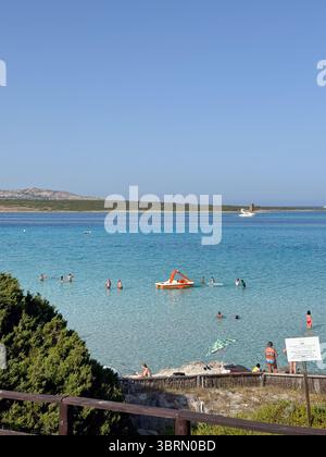 Stintino, Italia, 26.06.25 scenario di spiaggia con persone che nuotano e si rilassano in una giornata di sole. Una pedalata galleggia nelle acque turchesi calme, mentre altre Foto Stock