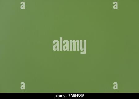 Un'immagine con luce uniforme che mostra un singolo blocco di colore verde pieno e leggermente desaturato che riempie l'intera cornice. Foto Stock