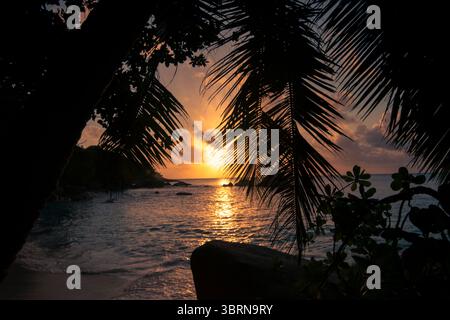 Le fronde delle palme incorniciano un tramonto dorato sul mare tranquillo con le lontane sagome delle isole dell'Anse Lazio bea Foto Stock
