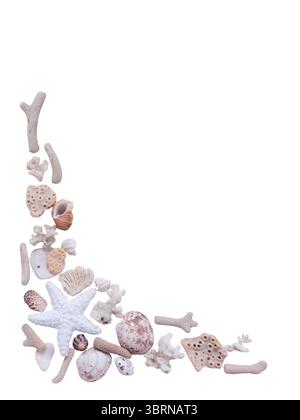 Cornice d'angolo decorativa a tema marino composta da conchiglie, coralli e stelle marine bianche disposte su un pulito sfondo bianco. Perfetto per l'estate, Foto Stock