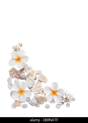 Cornice d'angolo decorativa a tema marino composta da conchiglie, coralli e fiori di marea disposti su un pulito sfondo bianco. Perfetto per l'estate, bea Foto Stock