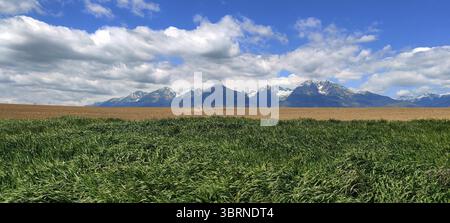 Paesaggio rurale con montagne degli alti Tatra all'orizzonte, vicino a Poprad, nella Slovacchia settentrionale Foto Stock