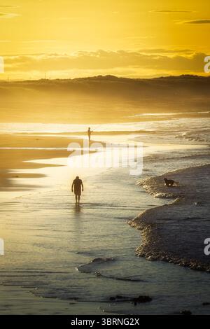 Hazy Golden Hour a Seaton Sluice Beach, Northumberland, luglio 2025 Foto Stock