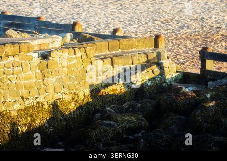 Hazy Golden Hour a Seaton Sluice Beach, Northumberland, luglio 2025 Foto Stock