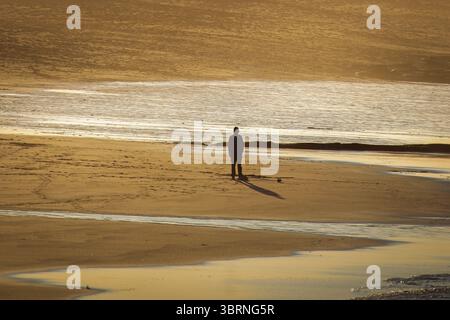 Hazy Golden Hour a Seaton Sluice Beach, Northumberland, luglio 2025 Foto Stock
