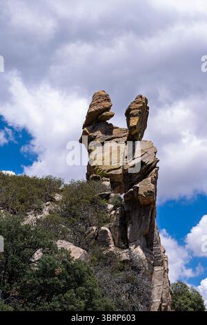 Le aspre montagne Catalina sono un'oasi estiva per i residenti del deserto di Sonora, per sfuggire al caldo a 9000 metri sopra il livello del mare Foto Stock