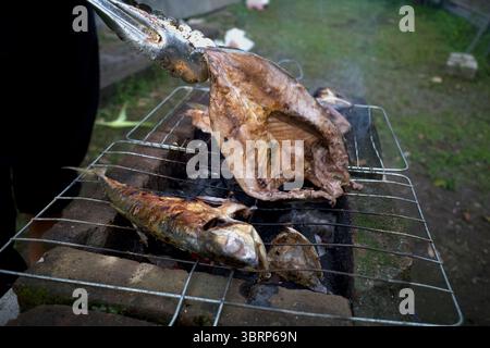Pesci di sgombro grigliati su carbone caldo su una tradizionale stufa in mattoni. Foto Stock