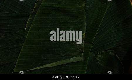 La banana lascia lo sfondo naturale sovrapposto. Stile rurale che avvolge o posiziona spuntini tropicali locali Foto Stock