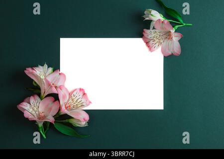 Fiori rosa dell'Alstroemeria e carta bianca su sfondo verde scuro. Vista dall'alto, posizione piatta, mockup. Foto Stock