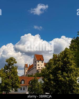 14.07.2025, Füssen im Allgäu, Hohes Schloss in der Altstadt. DAS gotische Hohe Schloss liegt auf einem Hügel über der Altstadt von Füssen. DAS Burgschloss gilt als eine der am besten erhaltenen mittelalterlichen Burganlagen a Bayern. 14.07.2025, am Hopfensee im Allgäu 14.07.2025, am Hopfensee im Allgäu *** 14 07 2025, Füssen nel Allgäu, alto castello nella città vecchia il castello gotico è situato su una collina sopra la città vecchia di Füssen il castello è considerato uno dei complessi medievali meglio conservati in Baviera 14 07 2025, sul lago Hopfensee nel Allgäu 14 07 2025, sul lago Hop Foto Stock