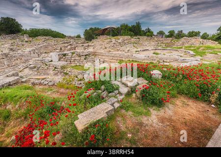 I papaveri rossi crescono tra le rovine di Troia a Turkiye Foto Stock