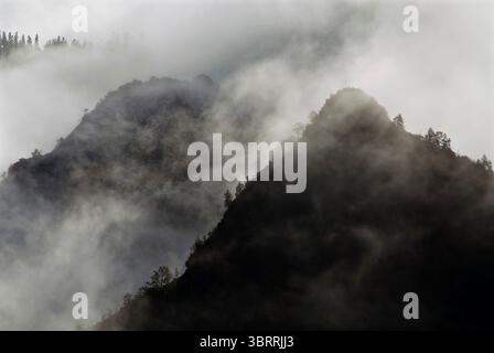 La nebbia sorge da una montagna, con neve fresca sulle cime, nel Kings Canyon National Park, California. Foto Stock