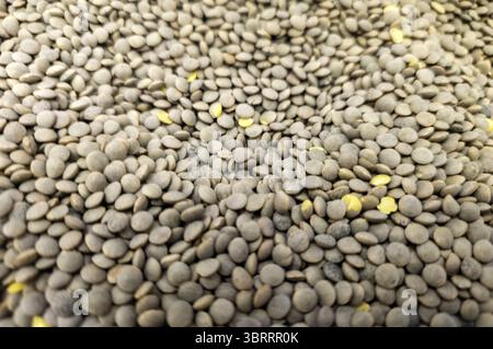 Lenticchie crude nel mercato agricolo e vegetale Foto Stock