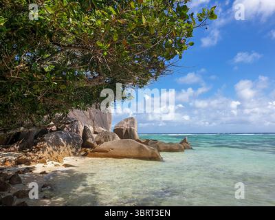 Una splendida vista della spiaggia di Anse Source d Argent sull'isola di la Digue, con i suoi iconici massi di granito, la sabbia bianca e le acque turchesi. Foto Stock