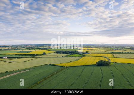 Bel volo sul molo di Salterstown, Annagassan, Contea di Louth, Repubblica d'Irlanda Foto Stock