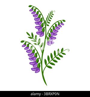 Elegante illustrazione vettoriale di una pianta di vetri tufted stilizzata con vivaci fiori viola e foglie verdi lussureggianti, perfetta per progetti di design che richiedono un Illustrazione Vettoriale