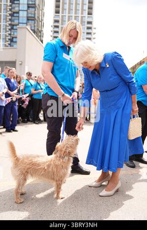 La regina Camilla, patrona della Battersea Dogs and Cats Home, incontra Felix il cane durante una visita per svelare la Royal Horticultural Society (RHS) e BBC radio 2 "Dog Garden", progettato da Monty Don, installato di recente nel centro di Londra dell'ente di beneficenza presso la struttura di beneficenza nel sud di Londra. Data foto: Lunedì 14 luglio 2025. Foto Stock