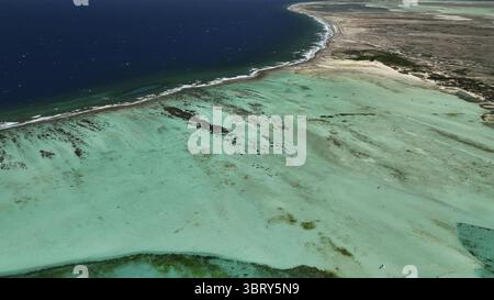 Vista aerea delle acque turchesi che incontrano la costa sabbiosa, un netto contrasto sotto lo sguardo del sole, Kralendijk, Bonaire, Paesi Bassi caraibici. Foto Stock