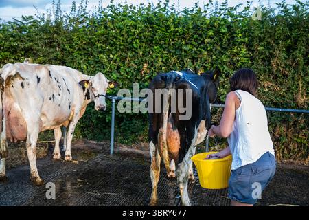 Stithians, Cornovaglia, Regno Unito. 14 luglio 2025. Lo spettacolo Stithians è andato avanti oggi nonostante le forti piogge. Il più grande spettacolo agricolo di un giorno della Cornovaglia, offre un assaggio tradizionale della vita rurale. Lo Stithians Show ha qualcosa per tutti: Mostre e dimostrazioni, animali, fiera, veicoli d'epoca, cibo e artigianato e una vasta scelta di negozi, dalle fiere e dai produttori locali. Crediti: Keith Larby/Alamy Live News Foto Stock