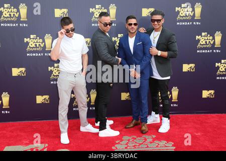 16 giugno 2018 - Santa Monica, California, Stati Uniti - (L-R) personaggi televisivi Vinny Guadagnino, Mike Sorrentino alias The Situation, Ronnie Ortiz-Magro e Paul DelVecchio alias DJ Pauly D partecipano agli MTV Movie and TV Awards 2018 al Barker Hangar. (Immagine di credito: © Alexander G. Seyum via ZUMA Wire) Foto Stock