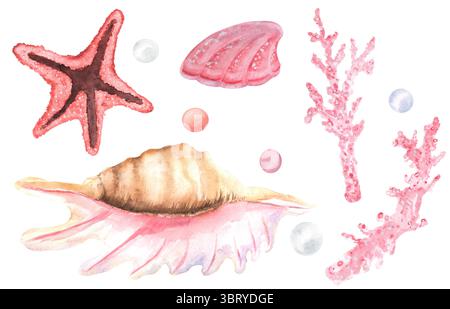 Un fascio di stelle marine acquerelli, conchiglie diverse, coralli rosa, perle colorate. Clipart del mondo sottomarino. Illustrazioni disegnate a mano per adesivi, p Foto Stock