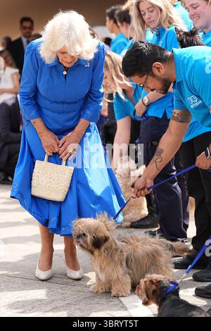 La regina Camilla, patrona della Battersea Dogs and Cats Home, incontra un cane durante una visita per svelare la Royal Horticultural Society (RHS) e BBC radio 2 "Dog Garden", progettato da Monty Don, installato di recente nel centro di Londra dell'ente di beneficenza presso la struttura di beneficenza nel sud di Londra. Data foto: Lunedì 14 luglio 2025. Foto Stock
