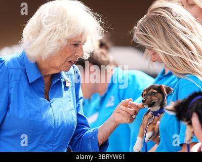 La regina Camilla, patrona della Battersea Dogs and Cats Home, incontra un cane durante una visita per svelare la Royal Horticultural Society (RHS) e BBC radio 2 "Dog Garden", progettato da Monty Don, installato di recente nel centro di Londra dell'ente di beneficenza presso la struttura di beneficenza nel sud di Londra. Data foto: Lunedì 14 luglio 2025. Foto Stock