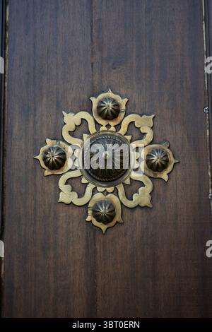 Un battitacco porta in bronzo splendidamente realizzato presenta intricati motivi floreali, che esaltano l'eleganza della porta in legno della Santa Iglesia Catedral i. Foto Stock