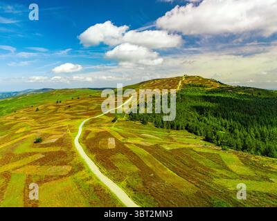 Una vista aerea di un sentiero tortuoso che conduce su una Moel Famau, con una foresta su un lato e un cielo blu con nuvole bianche sopra nella catena delle Clwydian, Nort Foto Stock