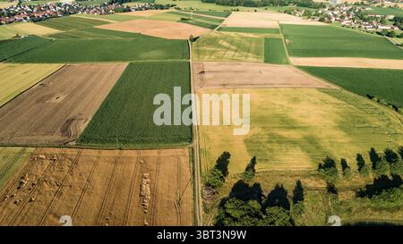 Vista aerea dei campi di grano ad ovest di Augusta, Baviera, Germania, Europa Foto Stock