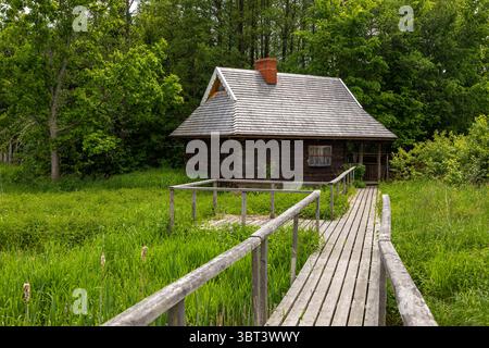 Uno stretto ponte di legno conduce attraverso una lussureggiante vegetazione ad una rustica casa di legno a Bialowieza, Polonia. Foto Stock