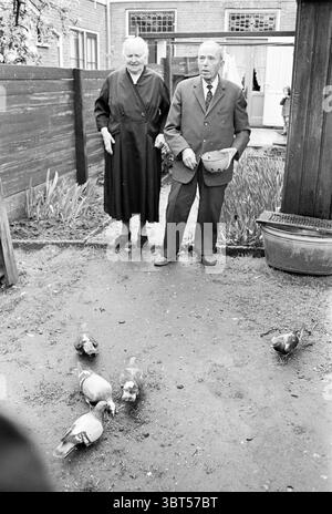 La coppia più anziana alimenta i piccioni., Whizgle News, Dutch Desk, Paesi Bassi, 1950 - 2000. L'immagine contiene questi argomenti. La scena raffigura una coppia in piedi insieme in un giardino, trasuda un senso di compagnia in un ambiente all'aperto sereno. Le due persone sono vestite con un abbigliamento formale che suggerisce un periodo di tempo caratterizzato da stili classici; la donna è in un lungo cappotto scuro, completato dai suoi capelli bianchi e dall'espressione delicata, mentre l'uomo indossa un abito completo di cravatta, presentando una presenza dignitosa. Di fronte a loro, diversi piccioni si stanno preparando per il cibo sulla Foto Stock