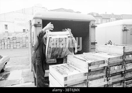 Relazione Vishal IJmuiden Visserij et al. Fishmongers Fishing IJmuiden Halkade Paesi Bassi, Whizgle News, Dutch Desk, Paesi Bassi, 1950 - 2000 il 06-07-1965. L'immagine mostra questi argomenti. In un ambiente urbano vivace, due persone sono impegnate nel compito di scaricare grandi casse di legno dal retro di un veicolo. La scena è ambientata sullo sfondo di un'area industriale, caratterizzata da diversi veicoli simili parcheggiati nelle vicinanze e da una serie di casse di legno allineate in pile a terra. Le persone sono vestite con abiti da lavoro pratici, indicativi di un ambiente laborioso. Te Foto Stock